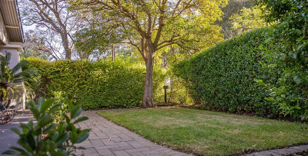 9 tips for a thrifty backyard makeover