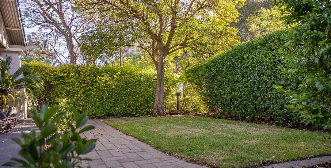 9 tips for a thrifty backyard makeover