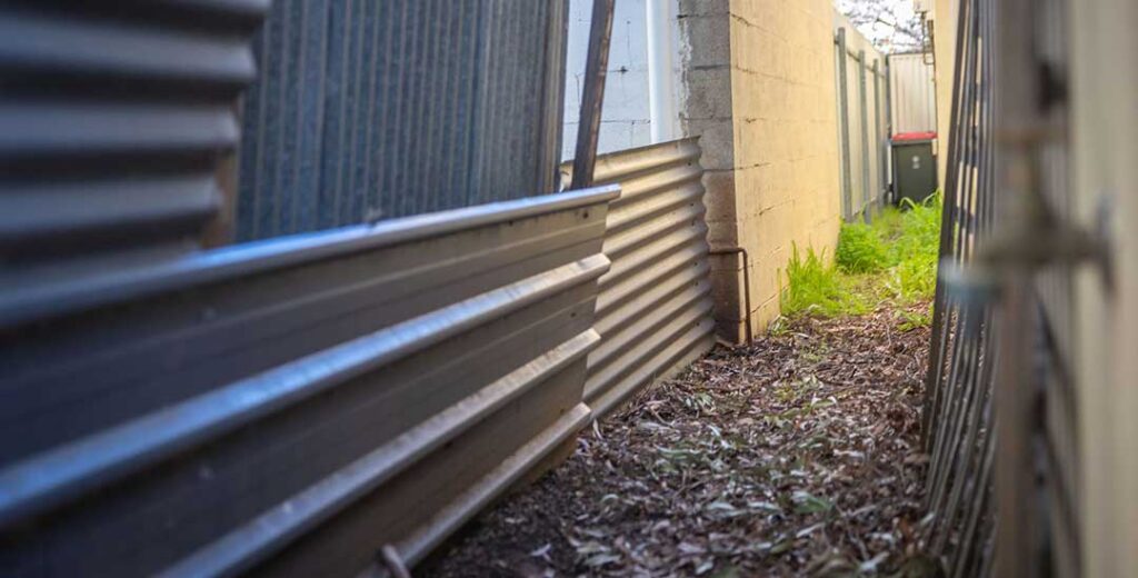 Is it time to call in the pros? Signs you need to hire a professional landscape gardener