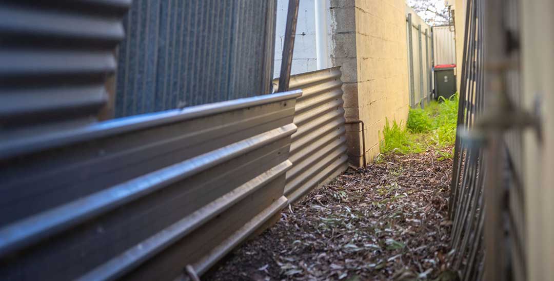 Is it time to call in the pros? Signs you need to hire a professional landscape gardener