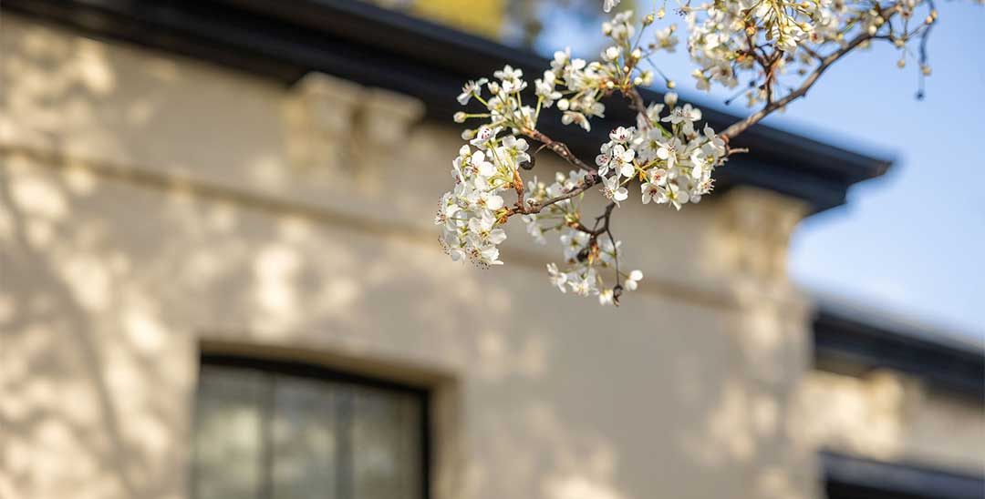 Debunking common home selling myths: what you need to know